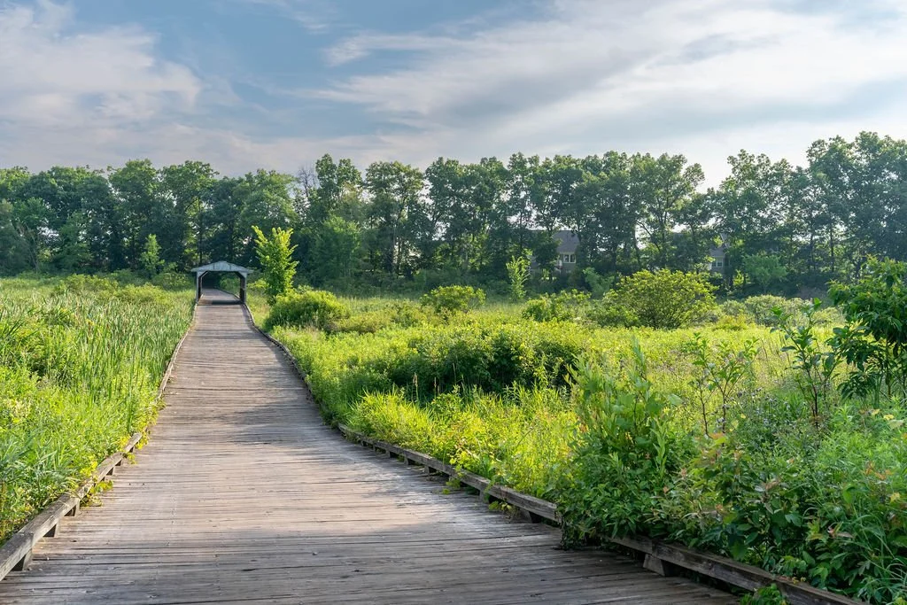 AC - Long View of covered bridge and path.jpg