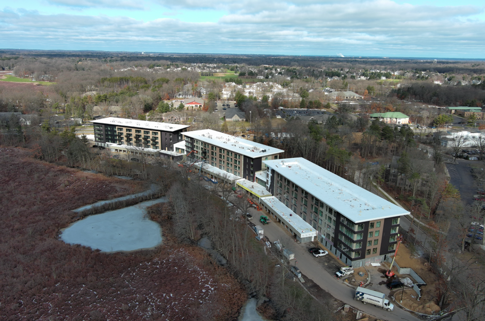 Tall Timbers Progress