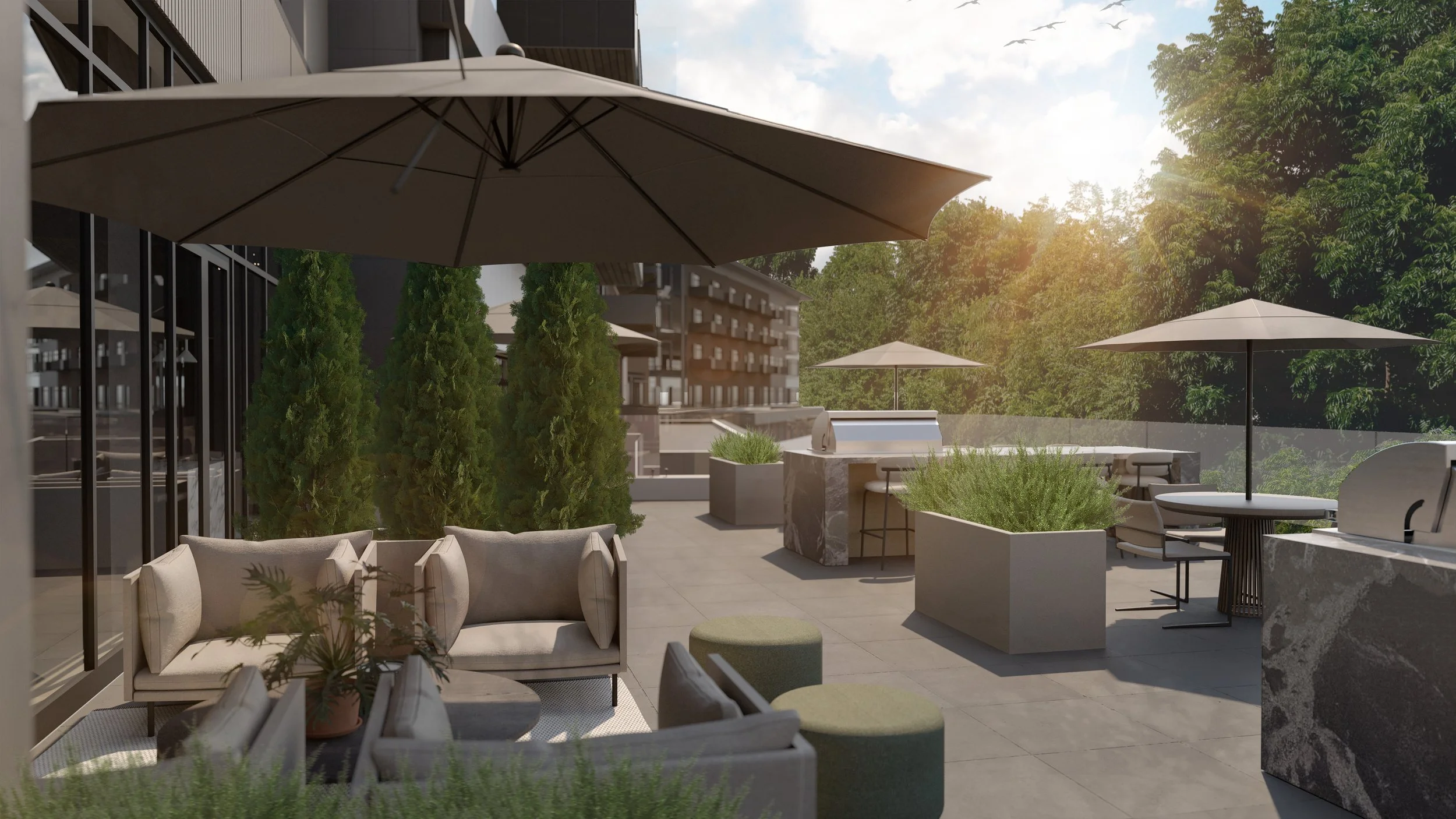 Tall Timbers — AVB Commercial Construction