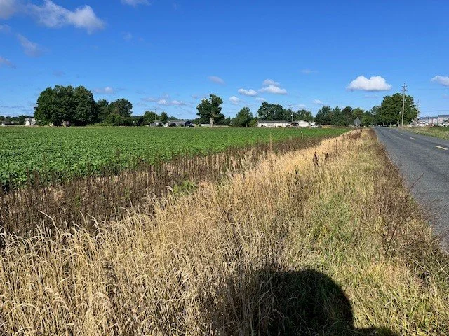 Angled View to the West.jpg