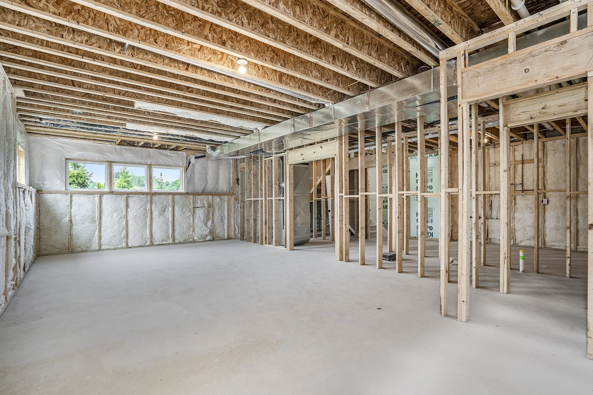 TS-01-35 Ellis Lower Level framed daylight windows.jpg