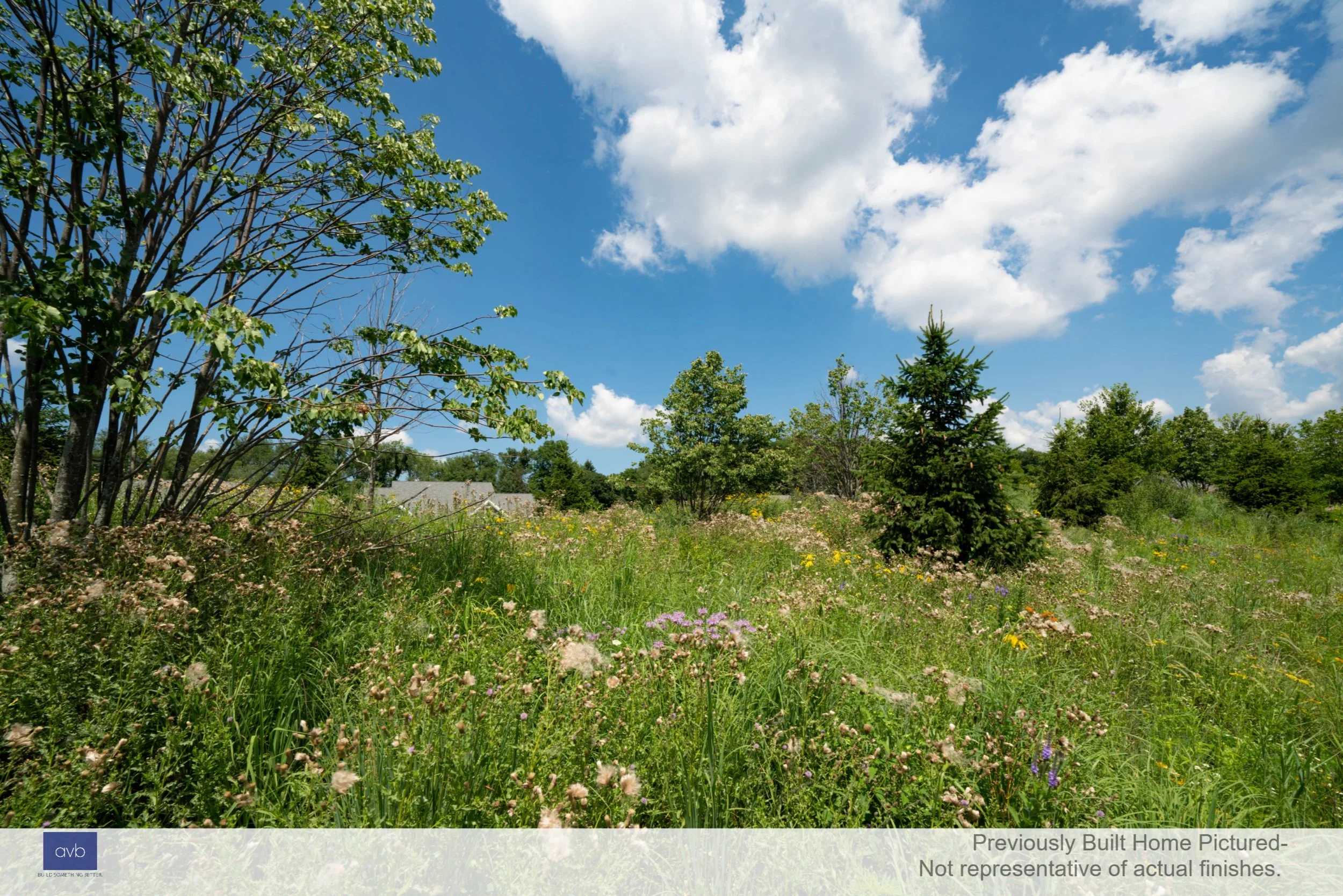 WW-04-158 Daisy Meadow View 2.jpg