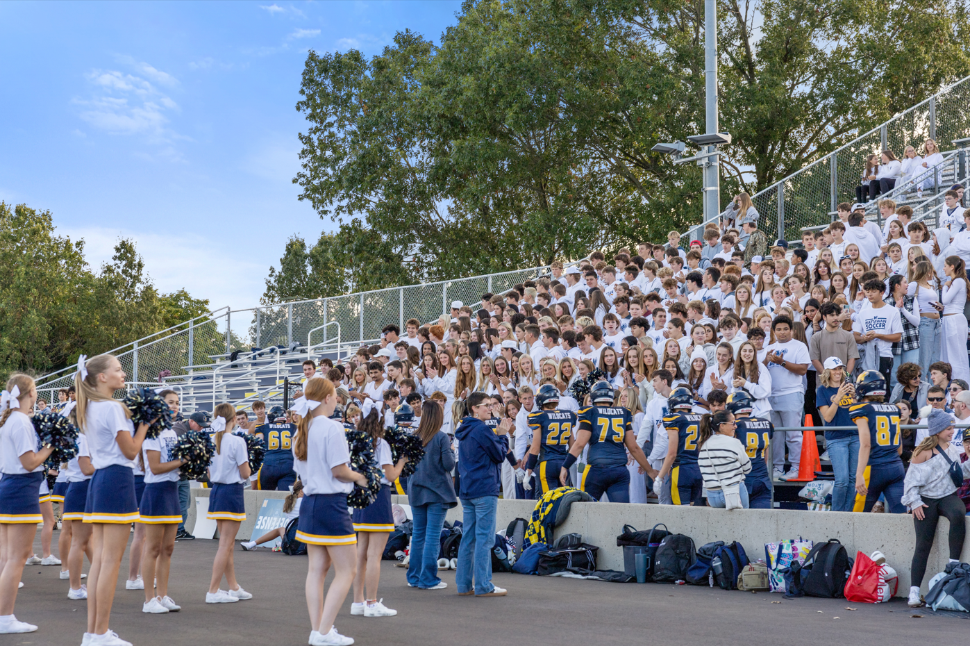 Screenshot for Newsletter 2.png