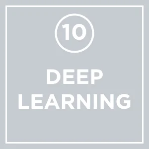 #10 - The Last Lion: Deep Learning