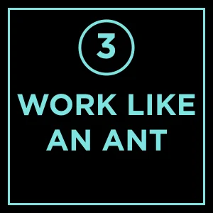 #3 - 9 Things You Simply Must Do to Succeed in Love and Life: Work Like An Ant