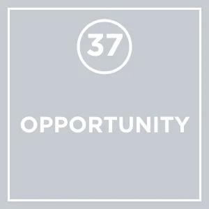 #37 - Opportunity