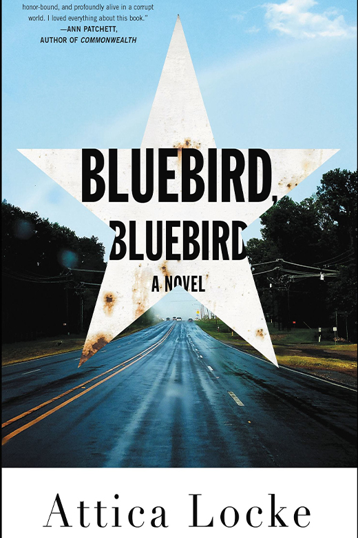 Bluebird, Bluebird