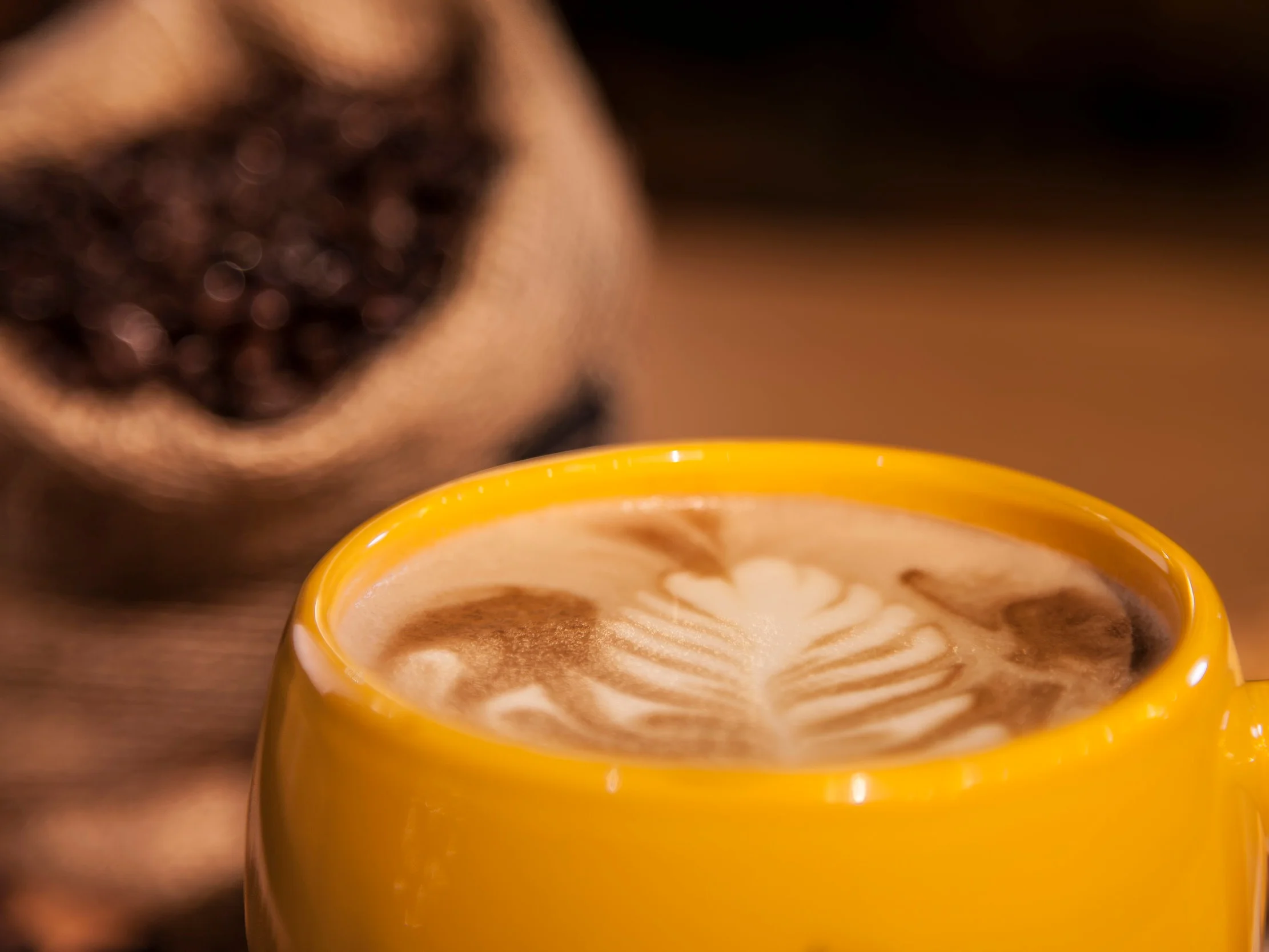 20131130_Kitanda_Coffee_5DII_MG_9082-Edit.jpg