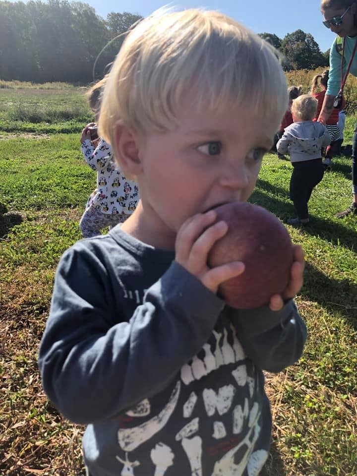 Preschool Apple Picking 1.jpg