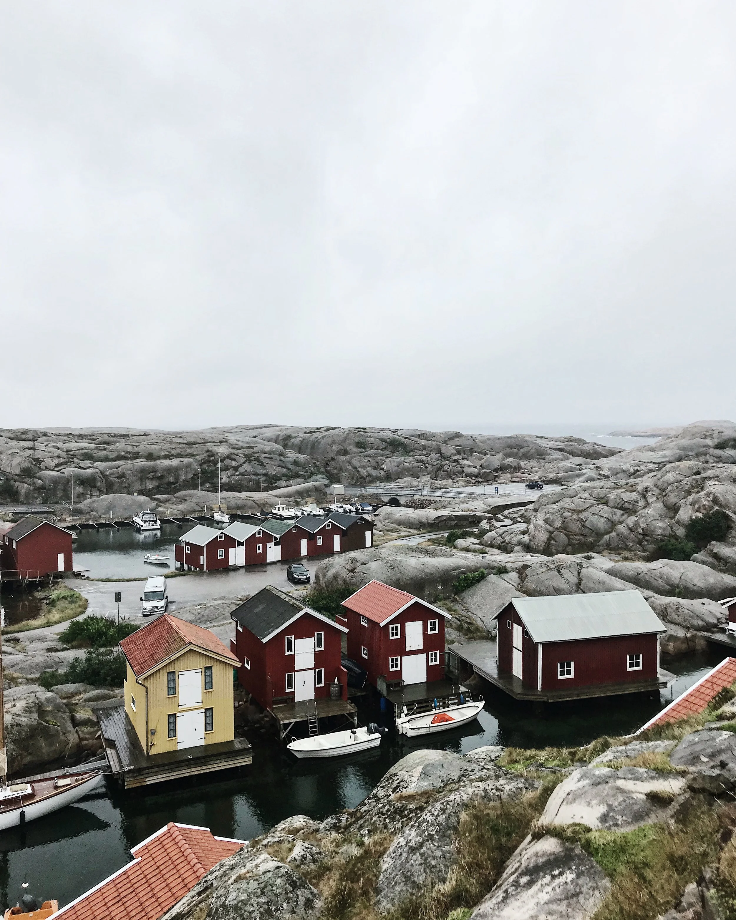 IMG_5679.JPG