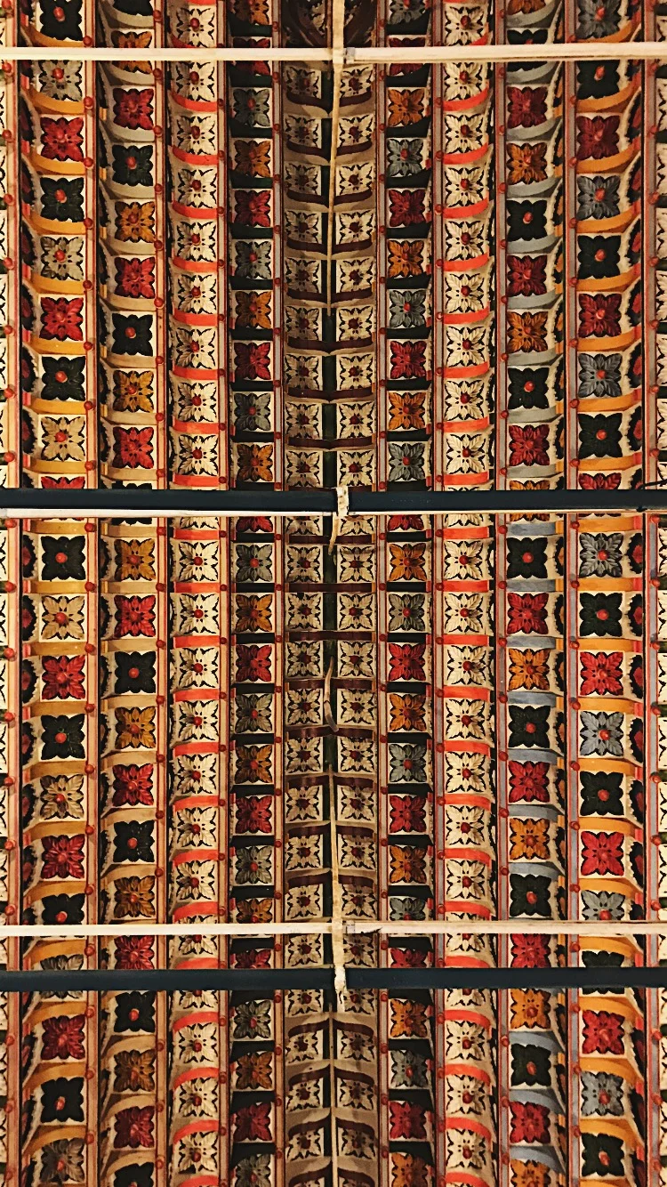 06_elice_f_Pudukkottai_ceiling.JPG
