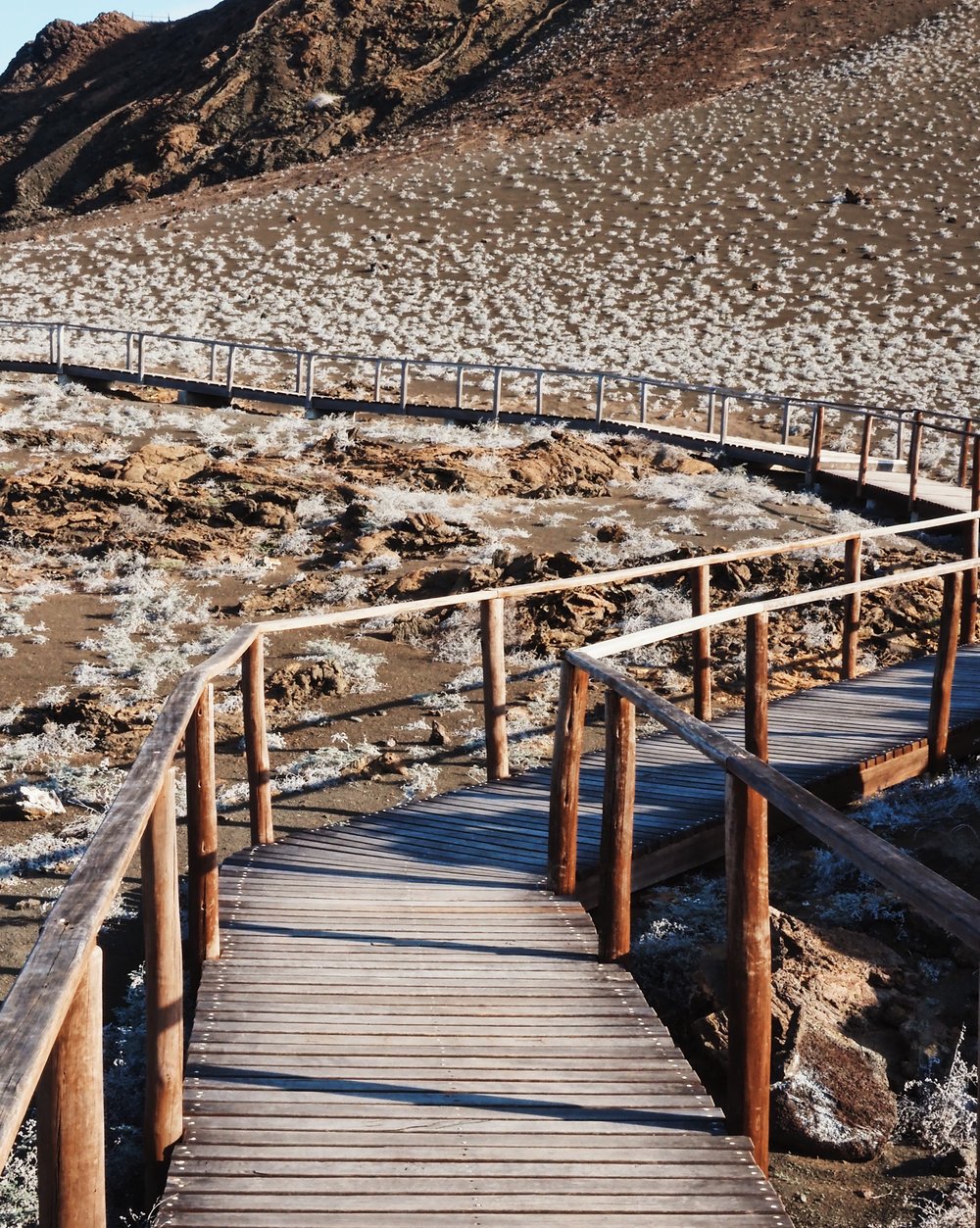  wooden path and stairs, Bartolomé Island 