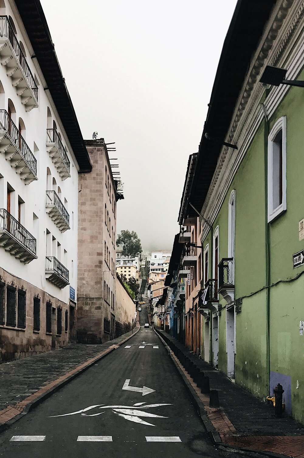  steep streets and hummingbird signage 