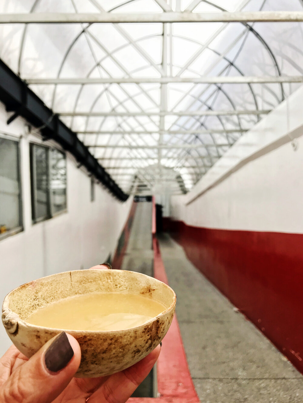  local hot beverage, organic cup, Mercado Municipal San Francisco 