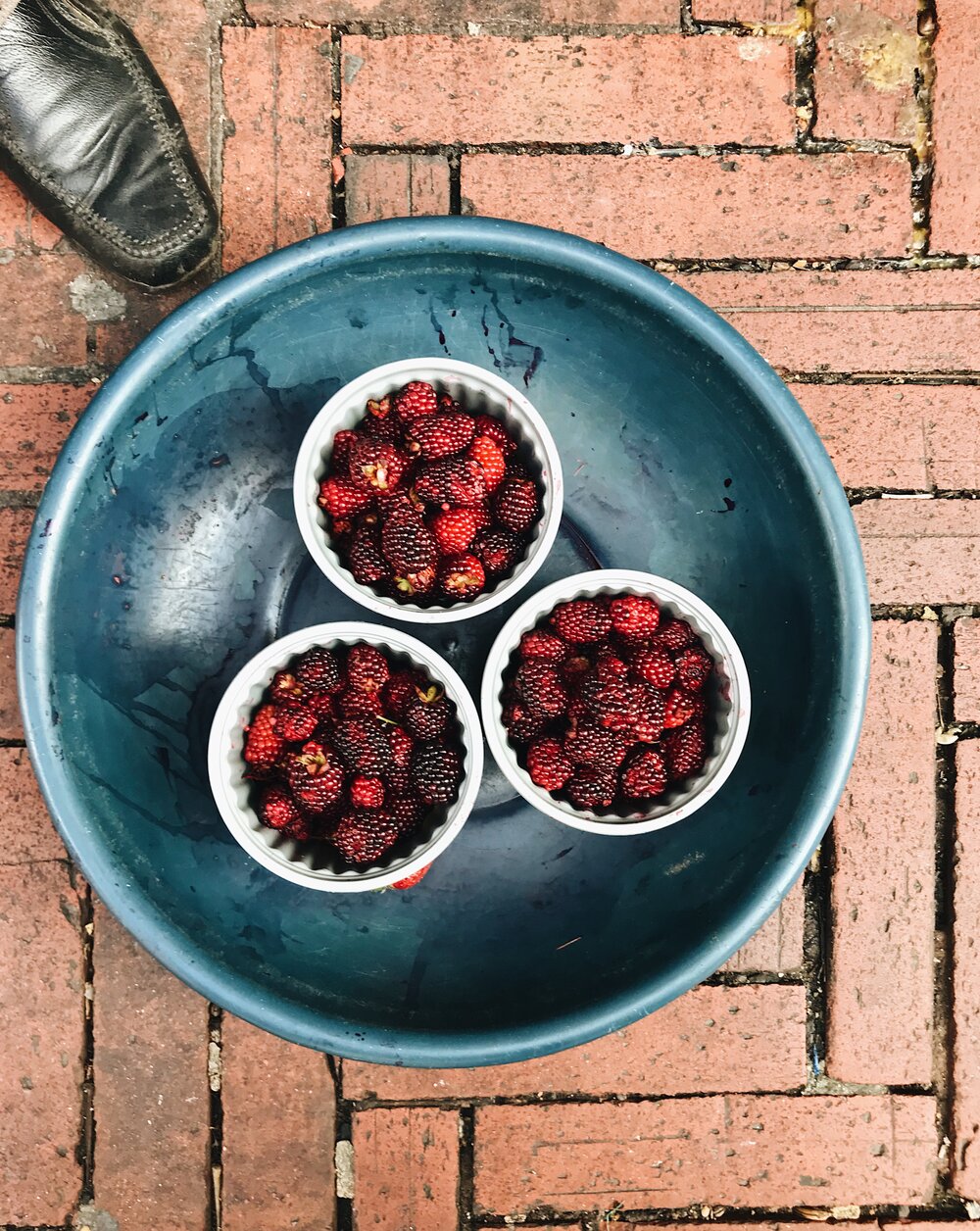  bowls and berries, smallest fruit stall yet 