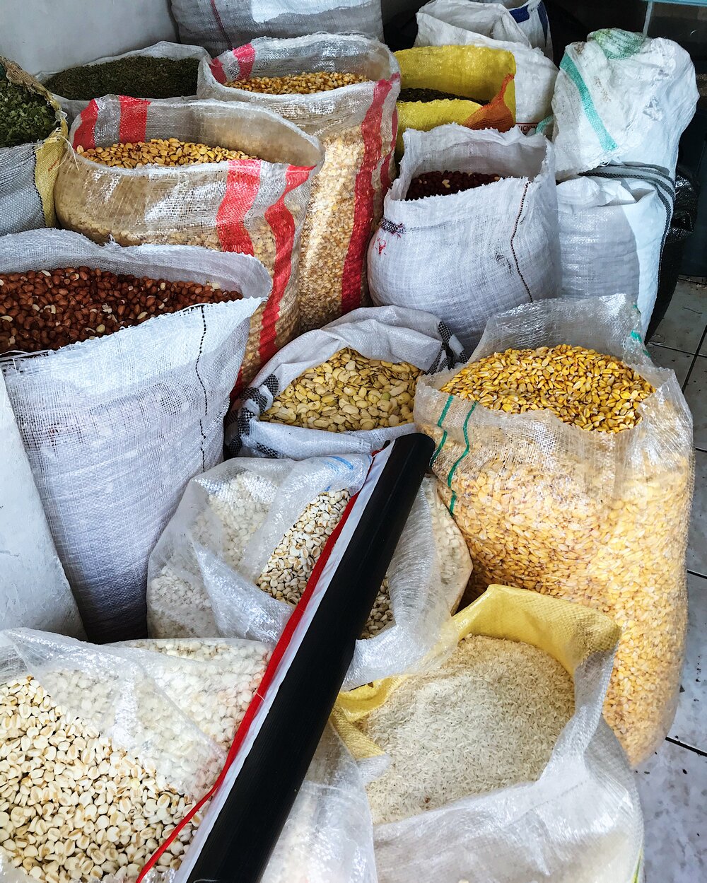  types of corn 