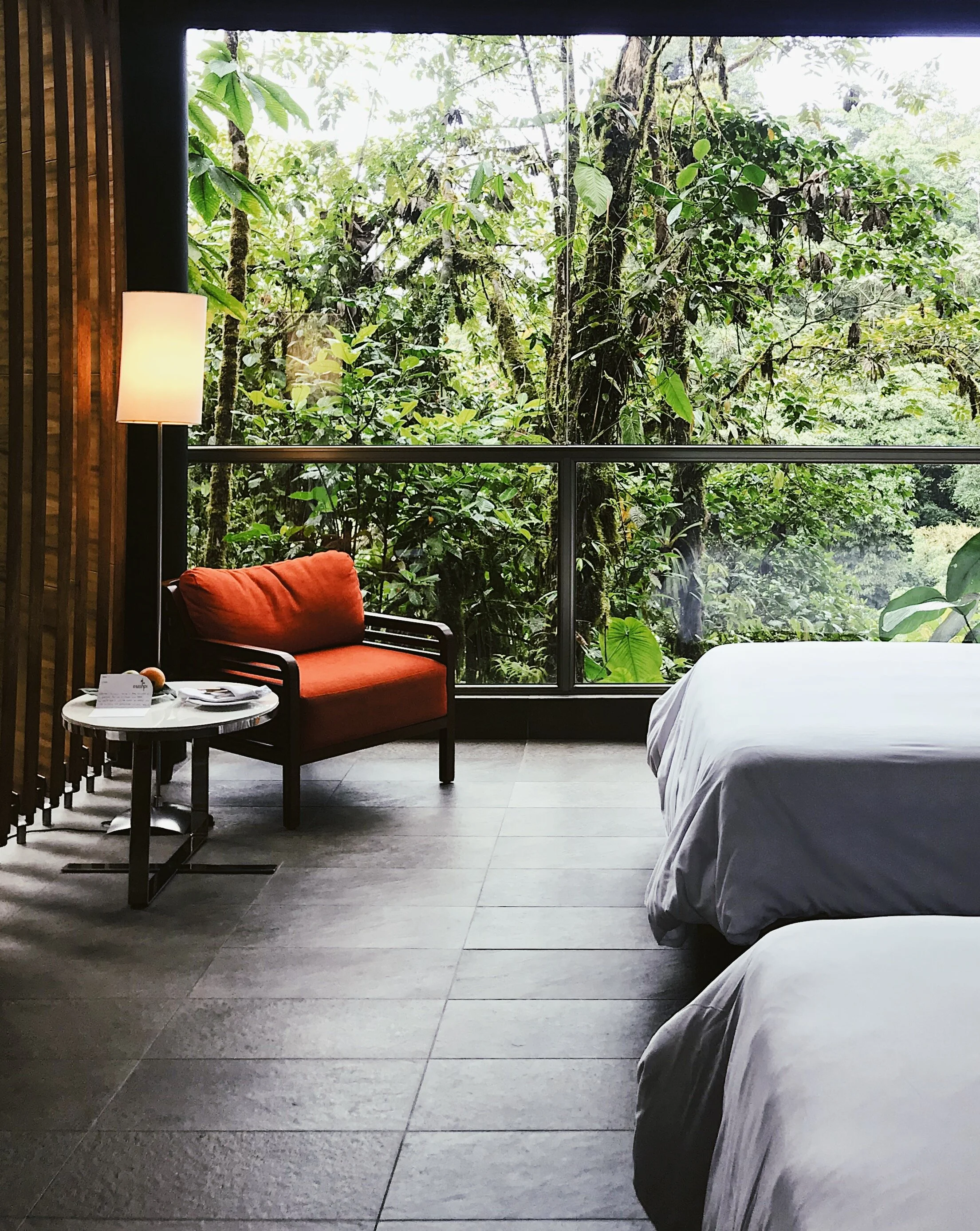  observing the forest life from the comfort of your bed 