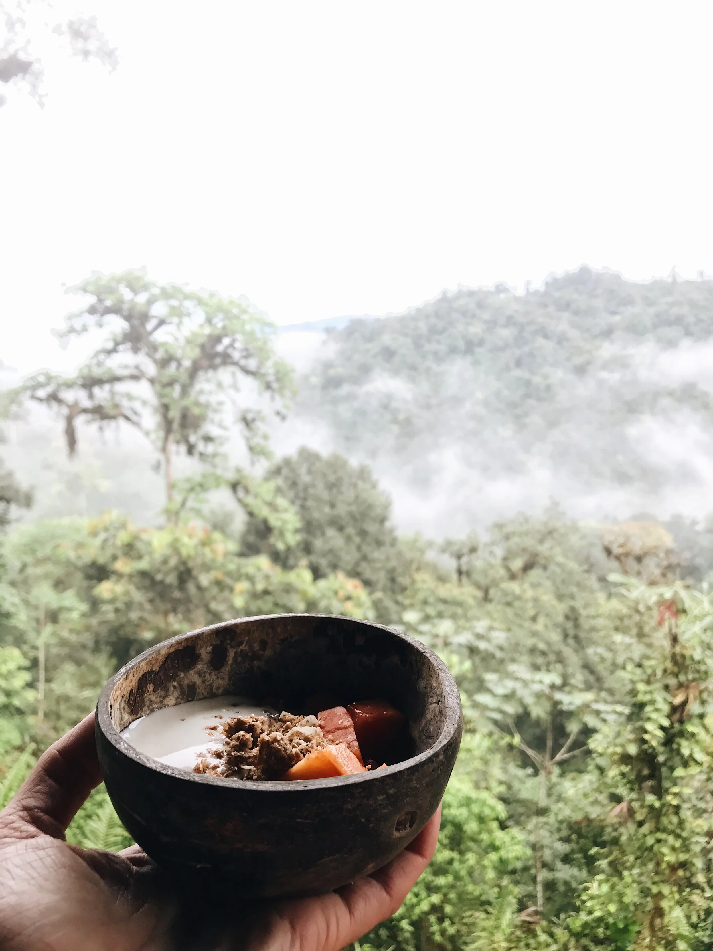  in natural bowls 