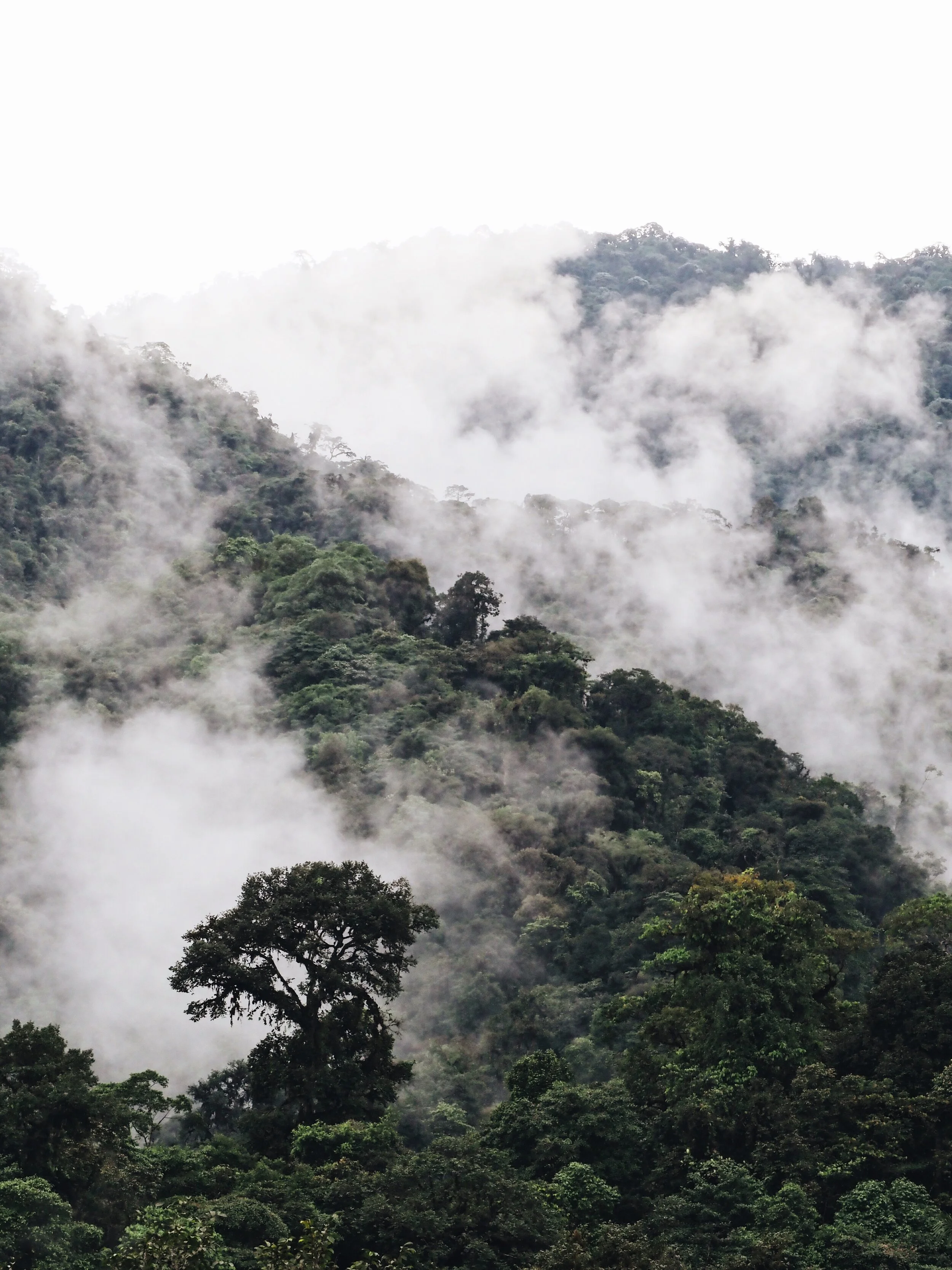  clouds, swirling 