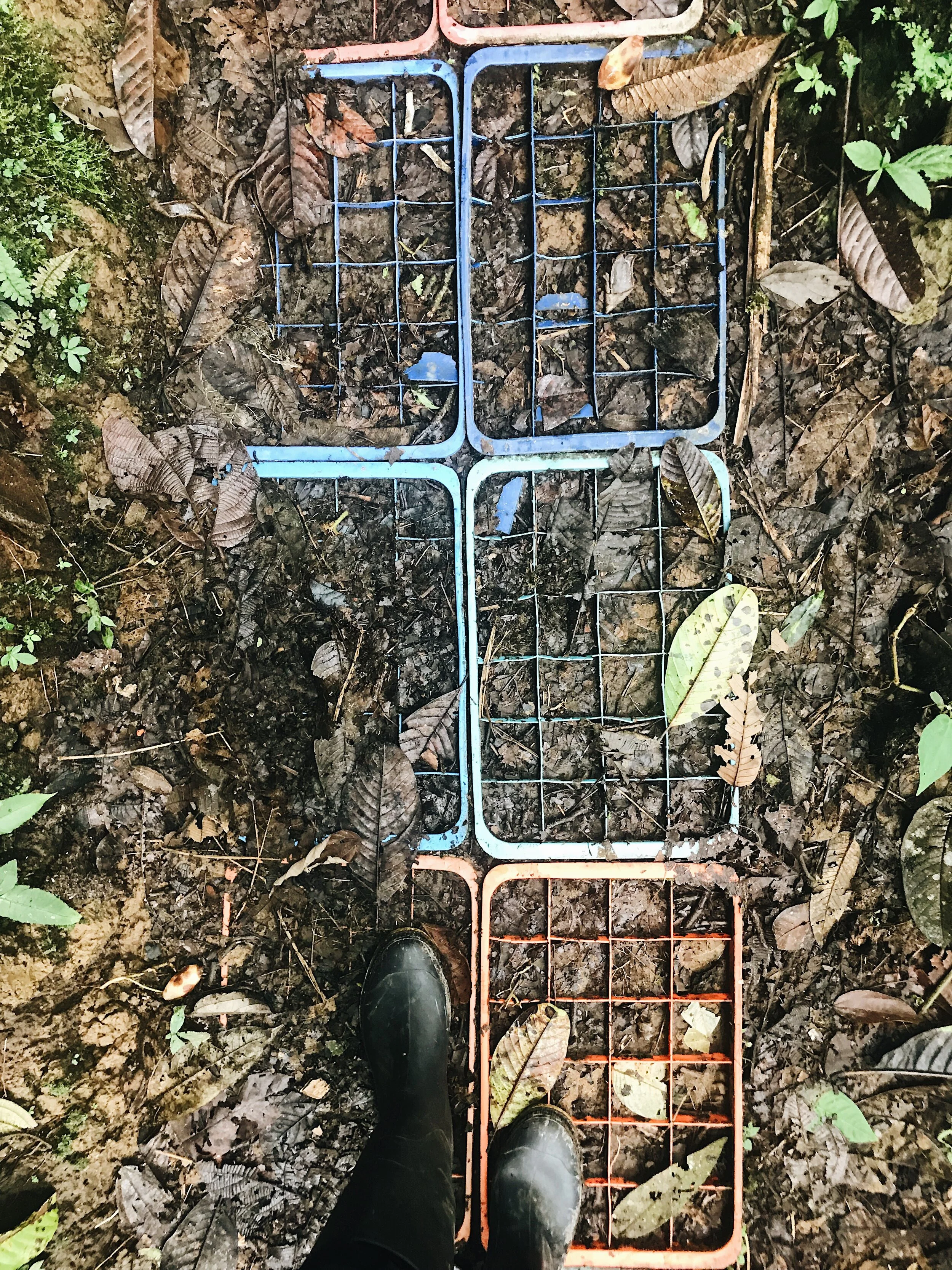  trails, built of recycled crates, through the bog 
