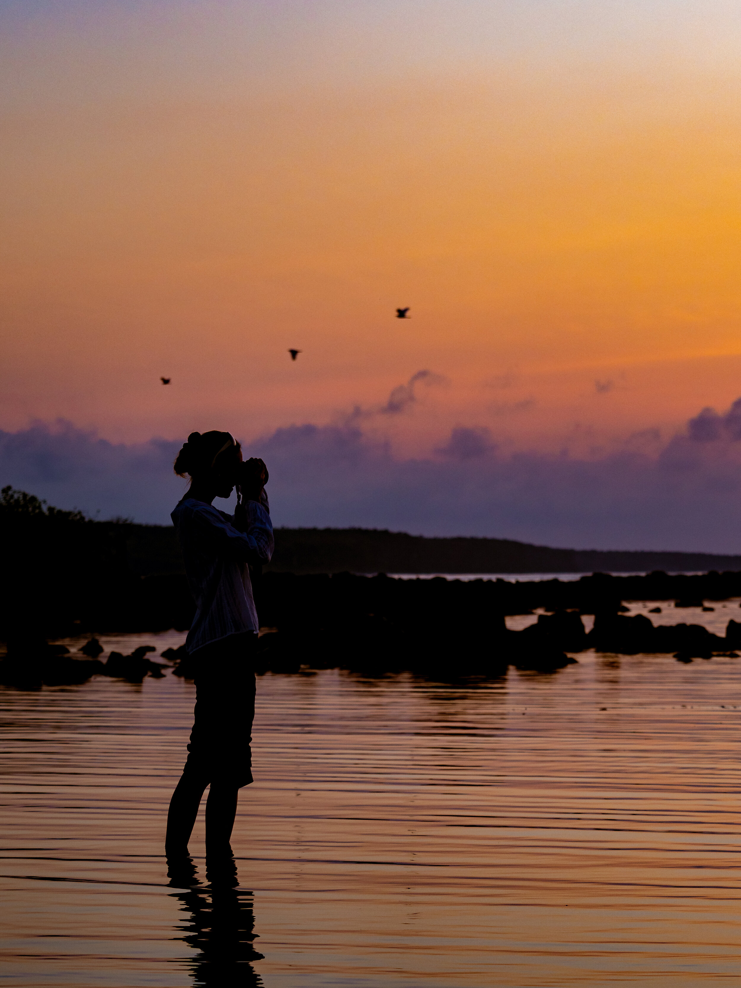   Finch Bay - photo by   Jay McLaughlin  