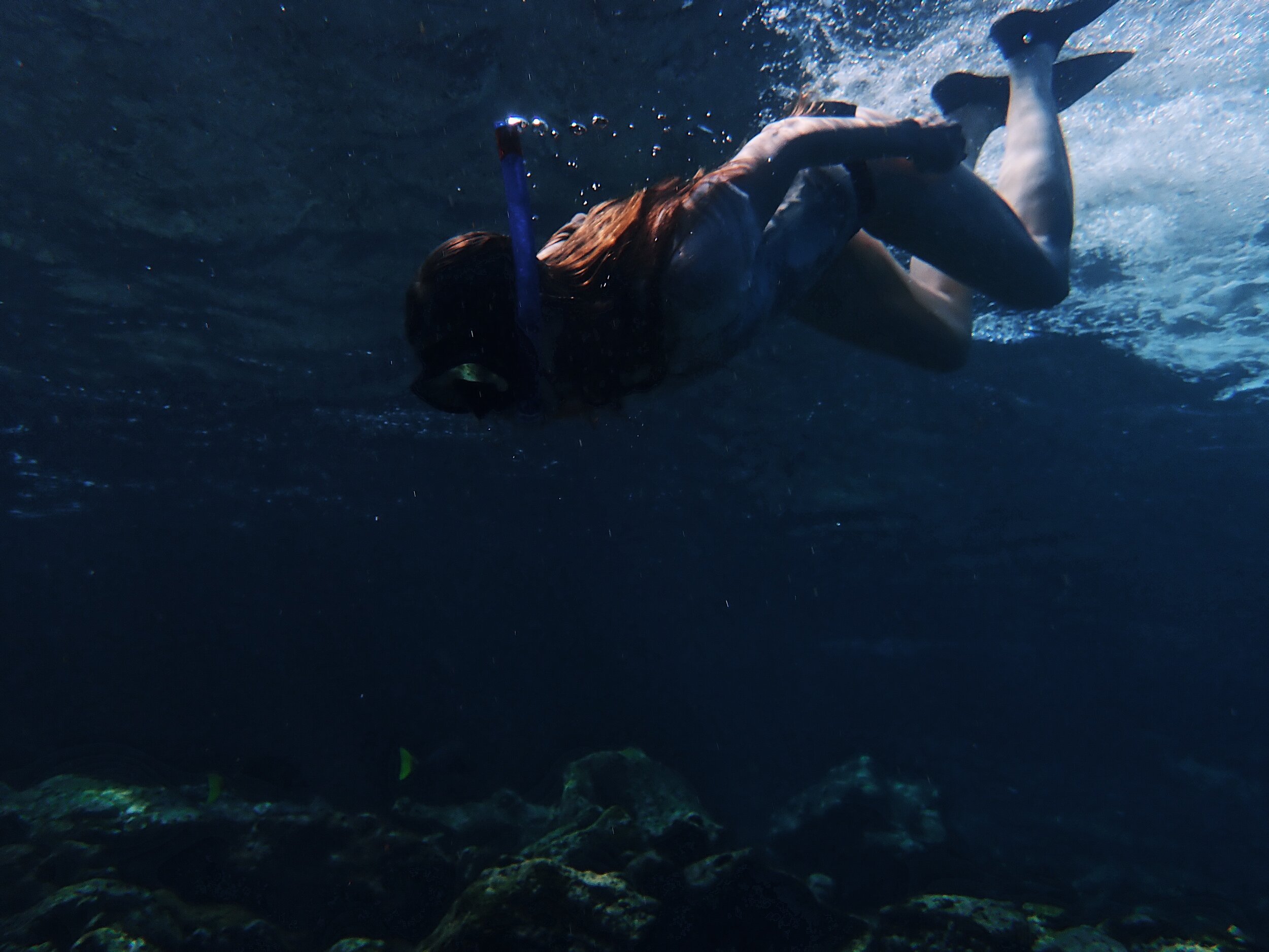  snorkelling,  photo by  Tommy Clarke   