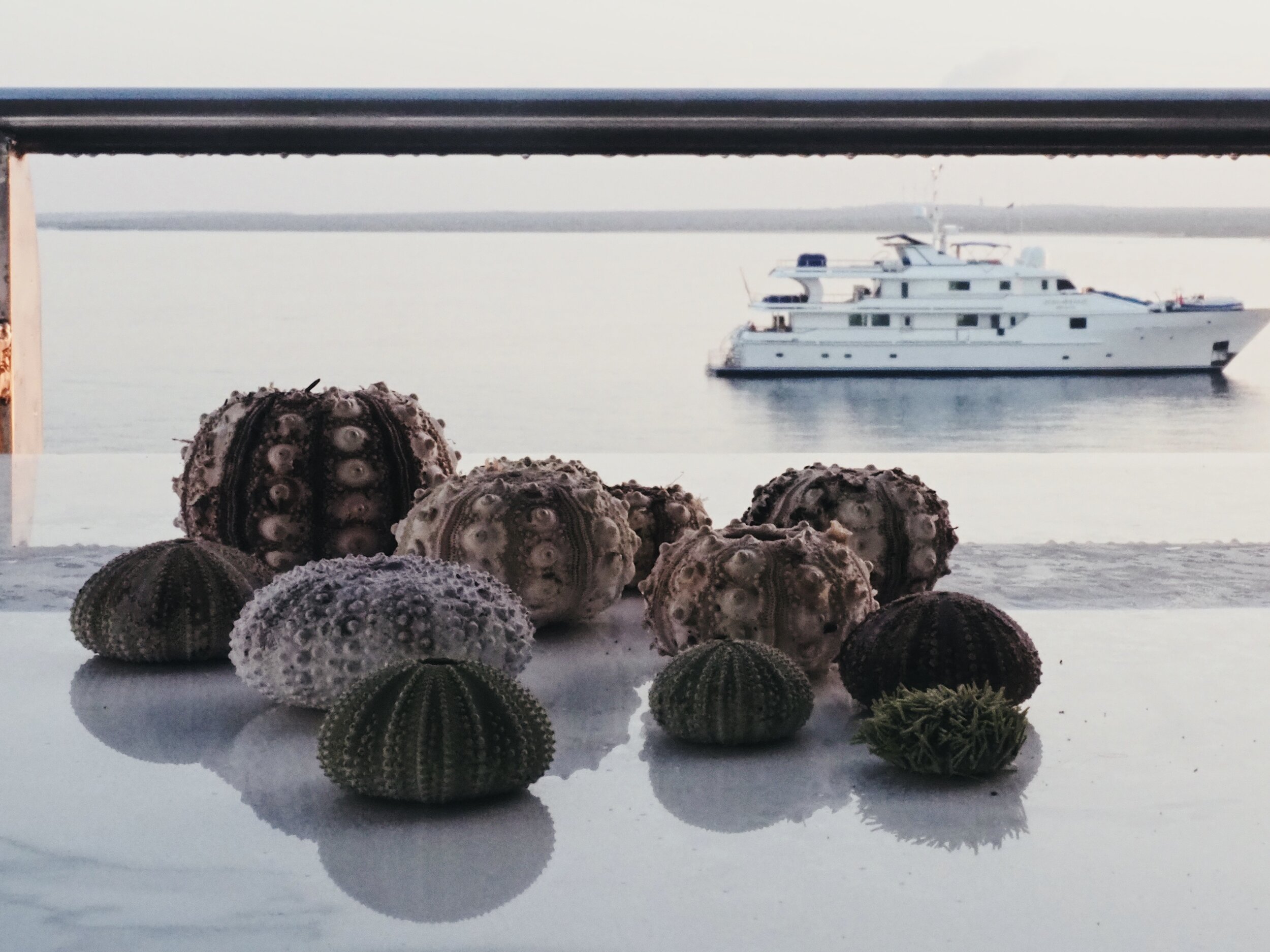   aboard the  Santa Cruz II   