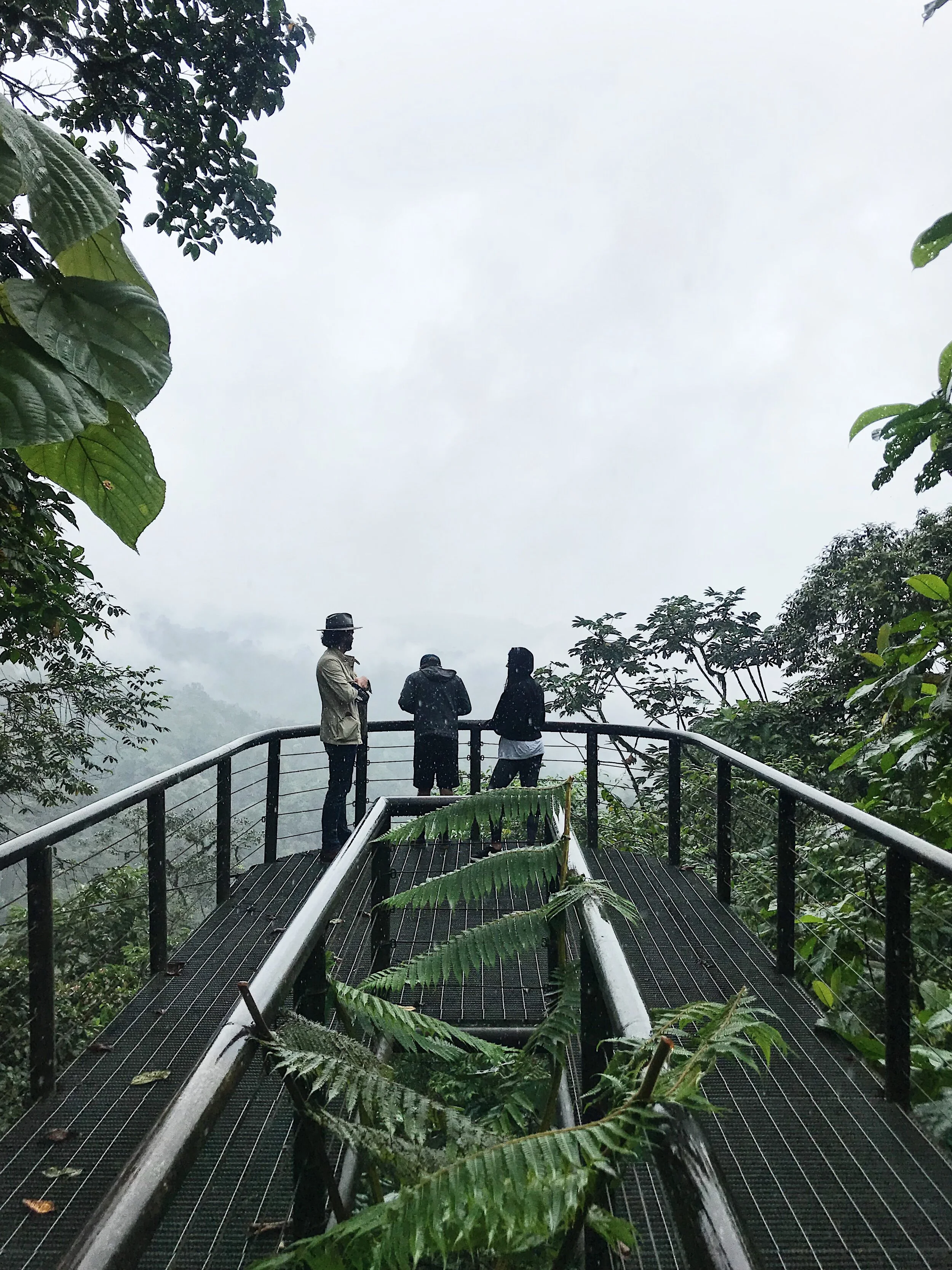    Mashpi Lodge , viewing platform… in the rain  