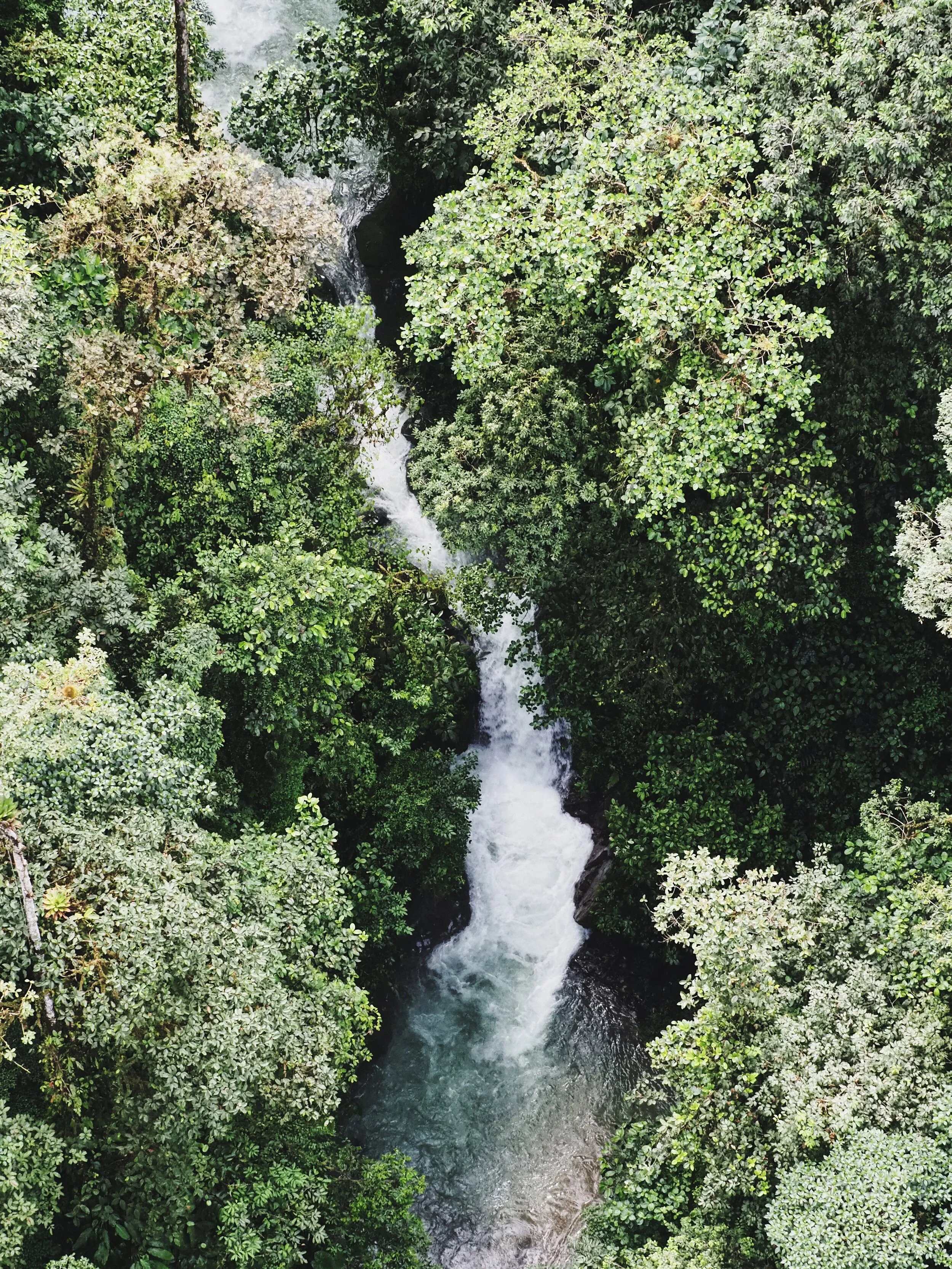  river flow, water fall 