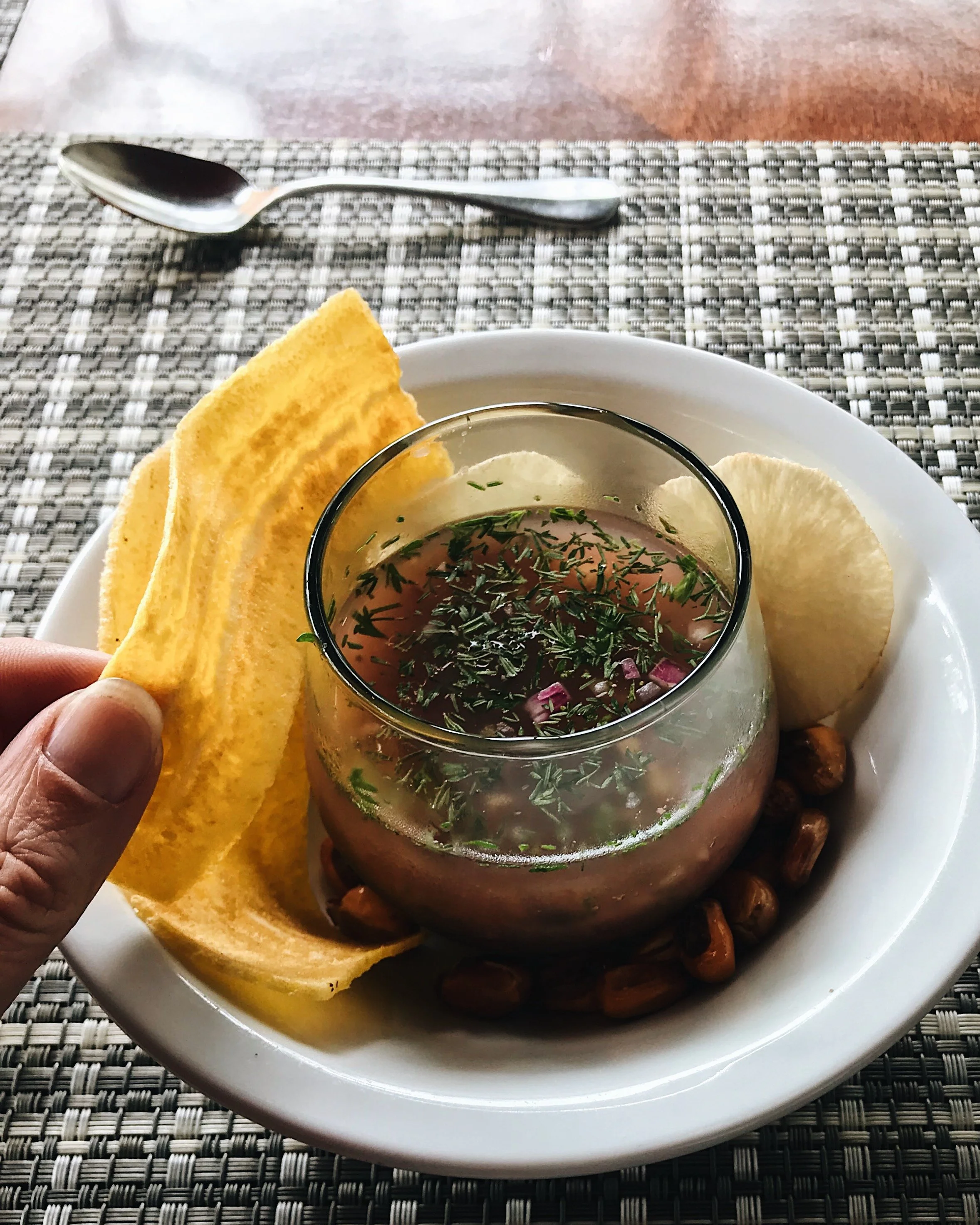  ceviche and plantain 