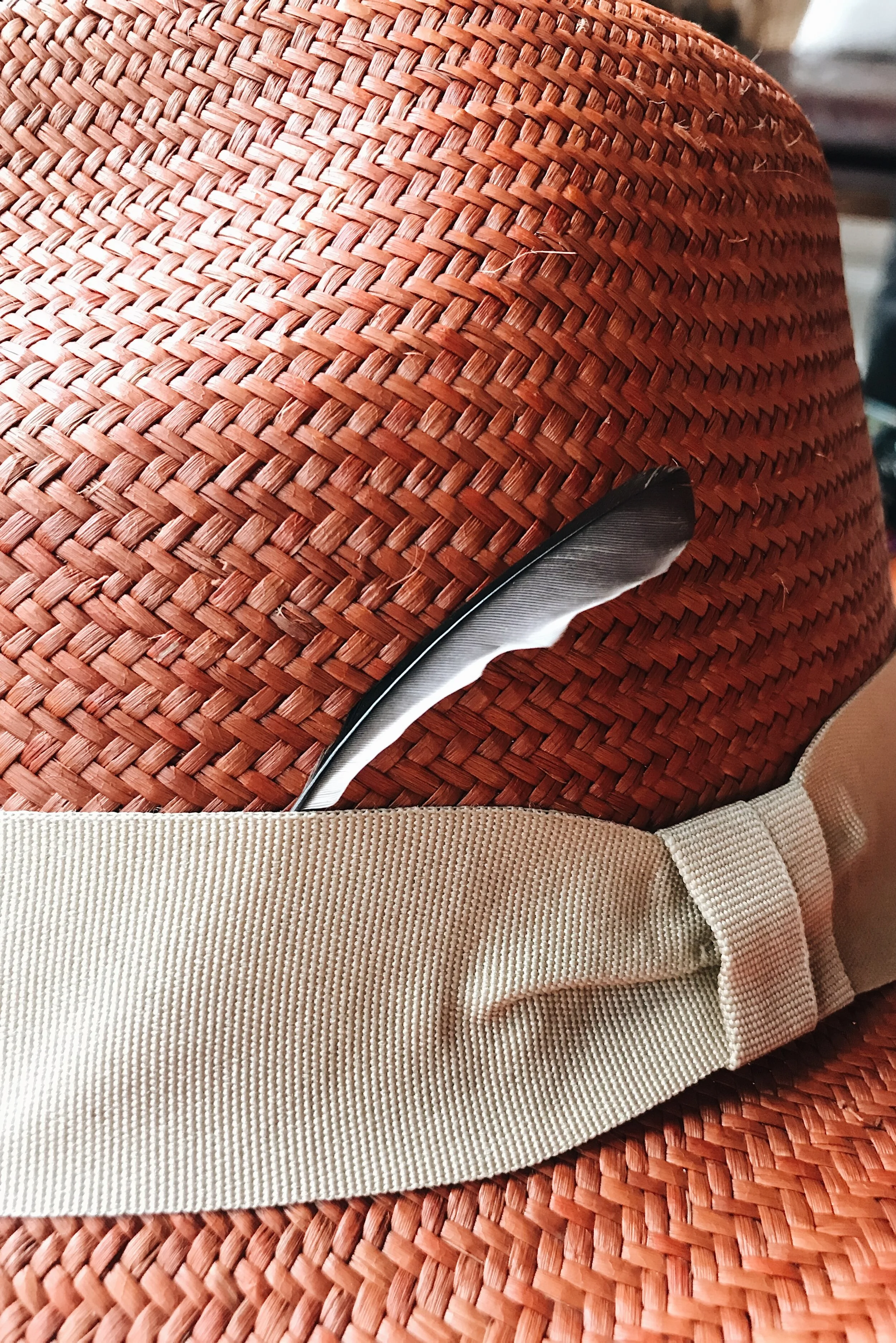  Colibri Feder am Panama Hut 