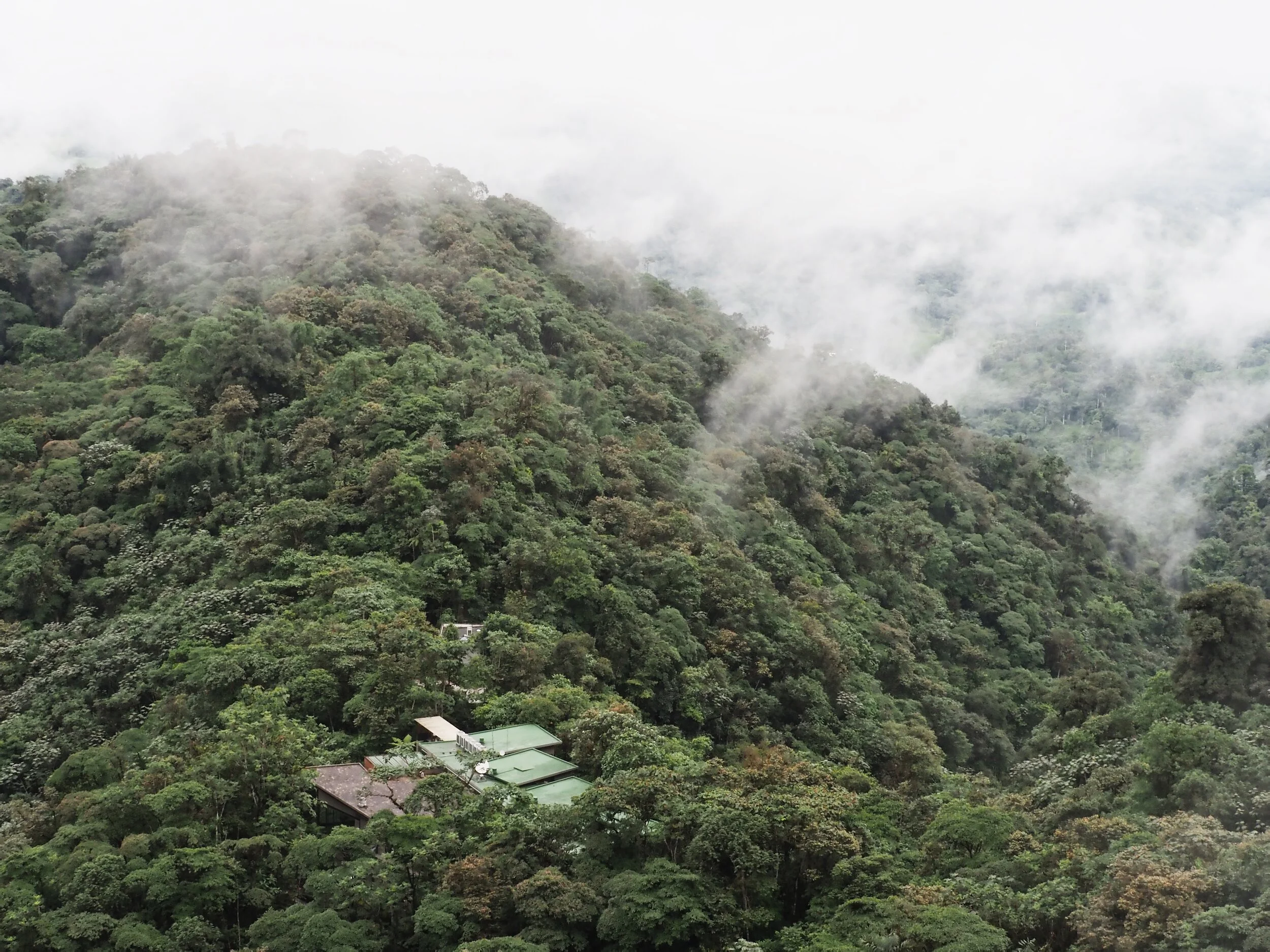   the roofs of    Mashpi Lodge    in the distance, built on the site of an old sawmill  