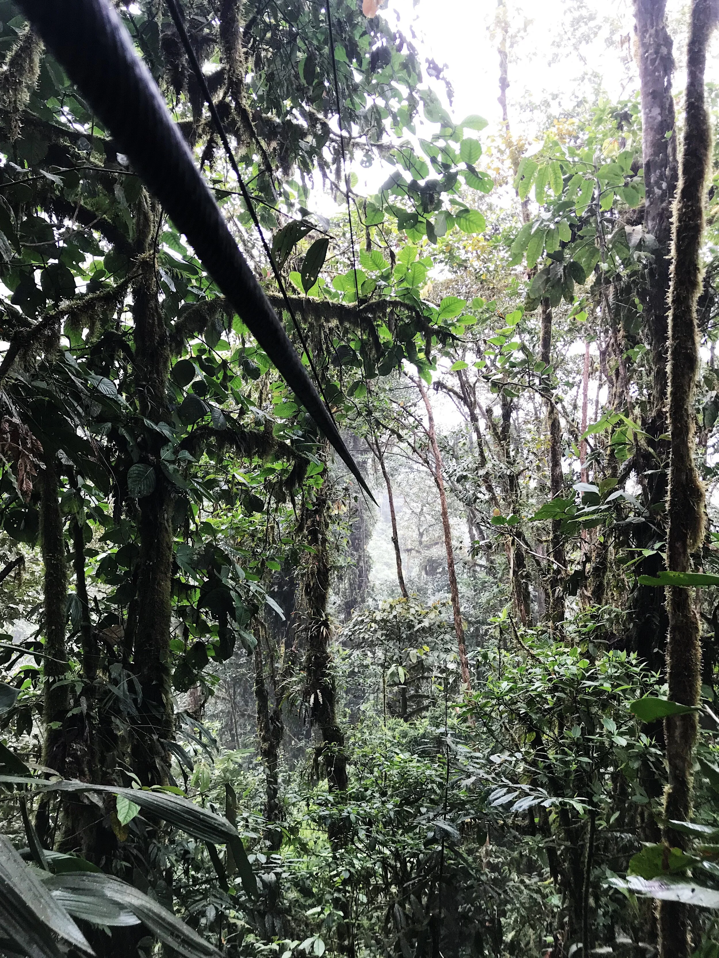  200 m (655 feet) cable and a river flowing between rocks below 