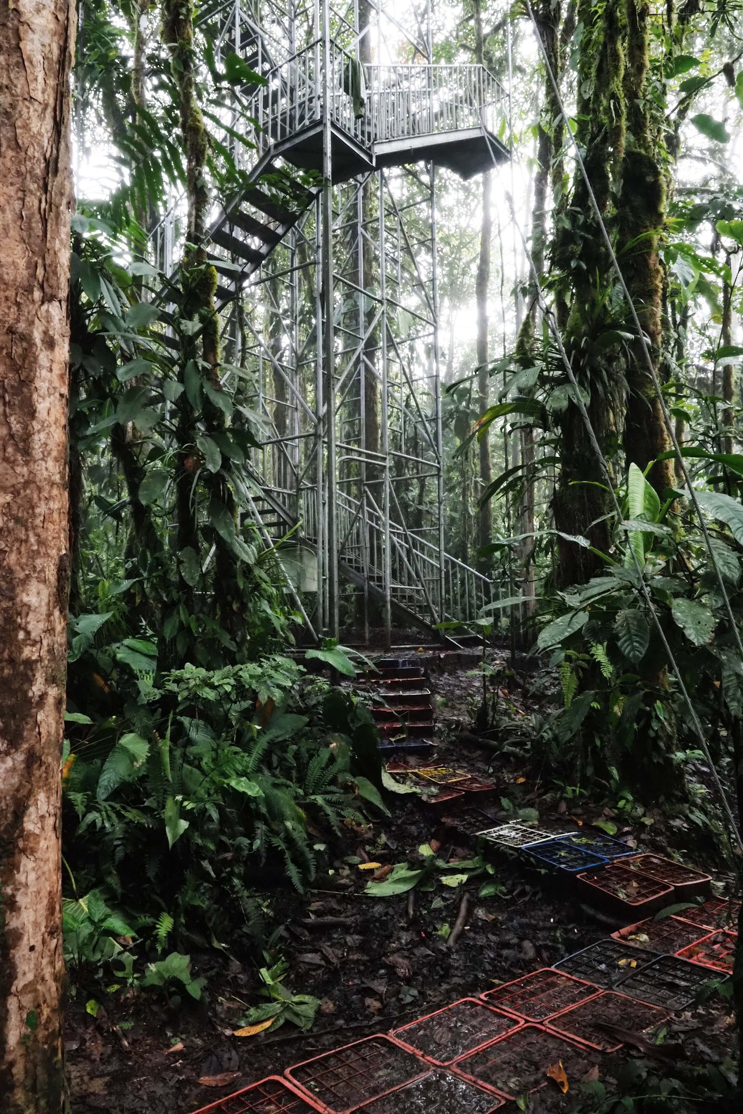  trails and open stairs 