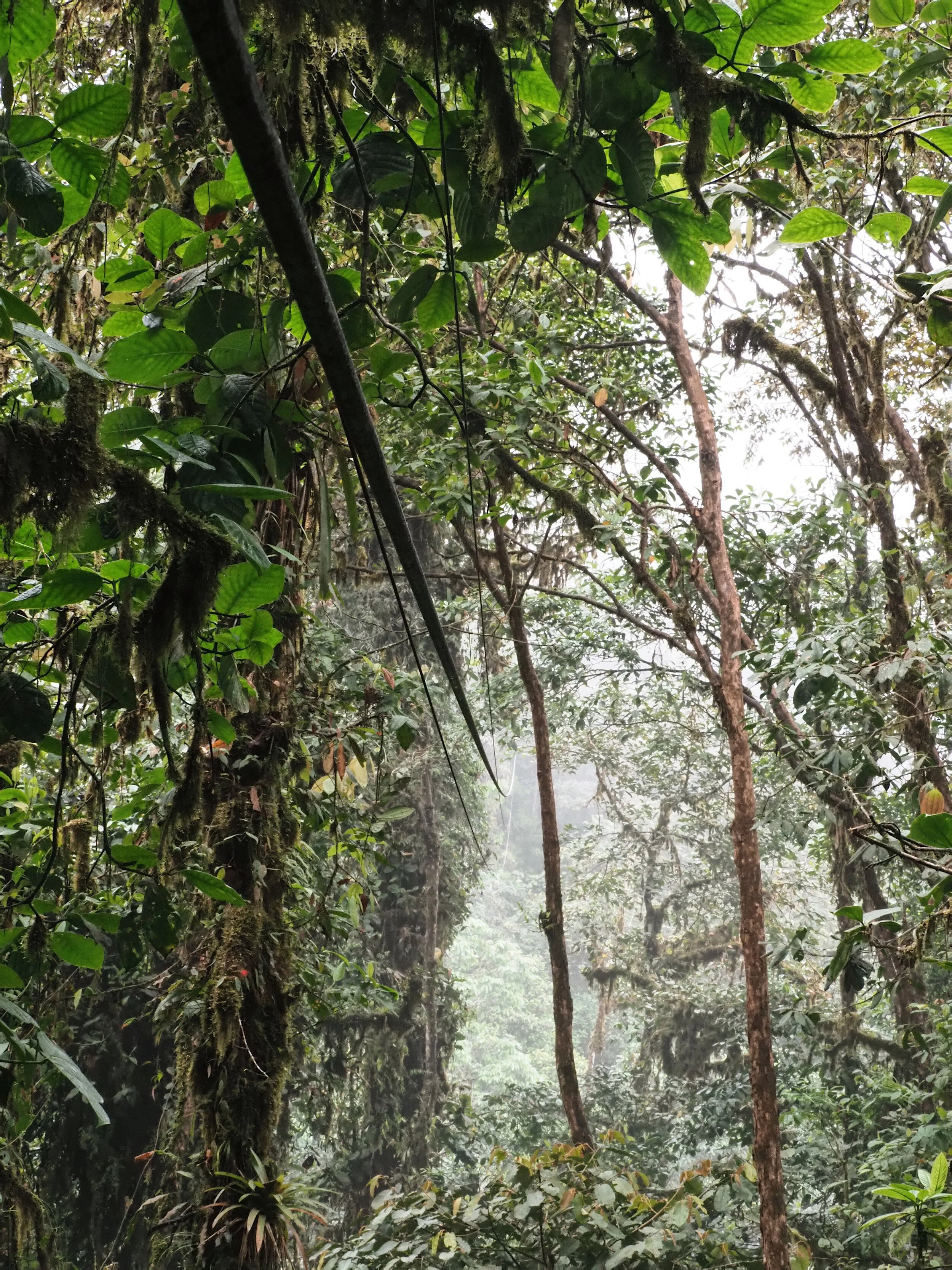  along a cable stretched between two points 