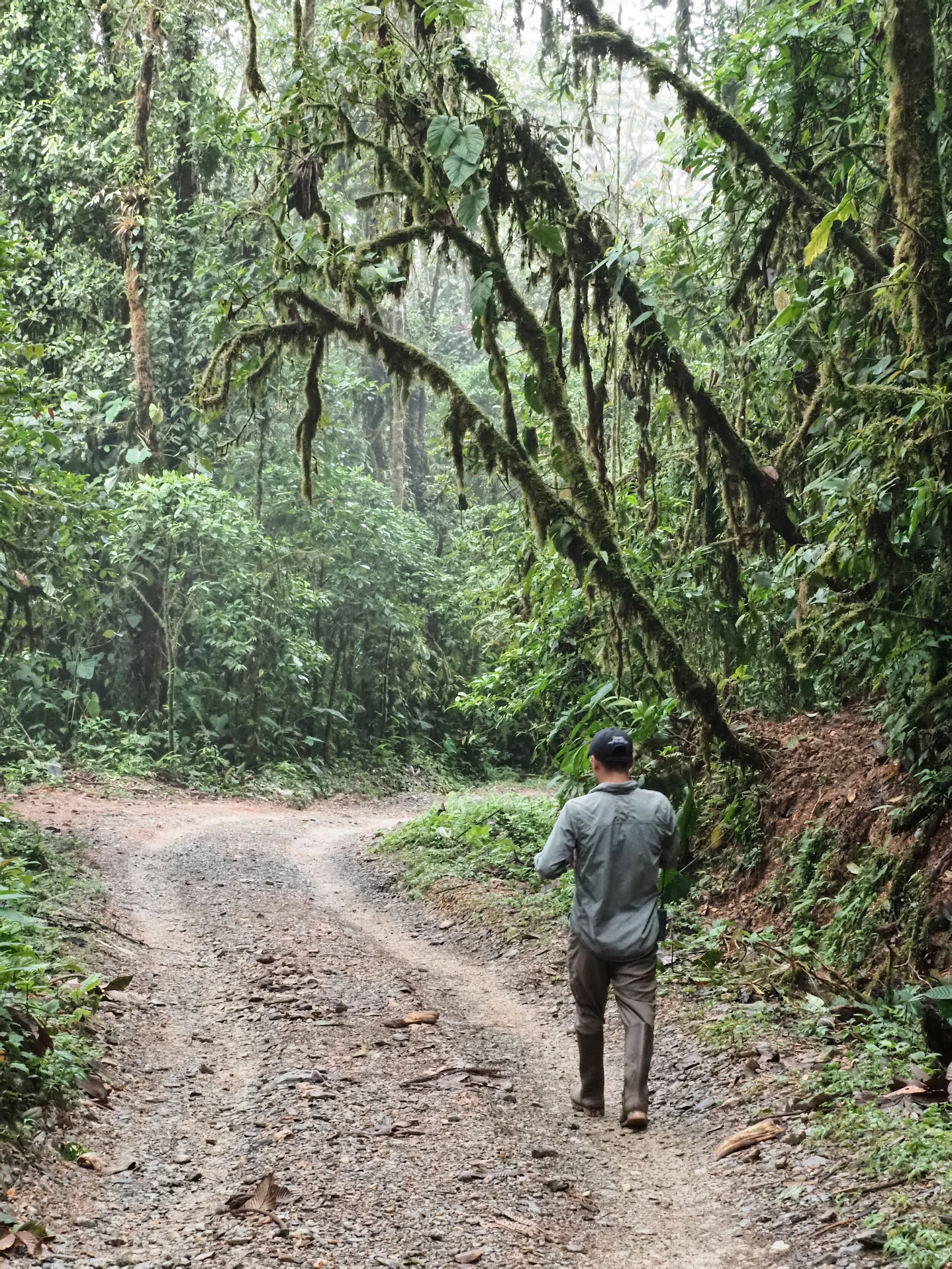  a 15 minutes&nbsp;walk&nbsp;along the access road back to the lodge 