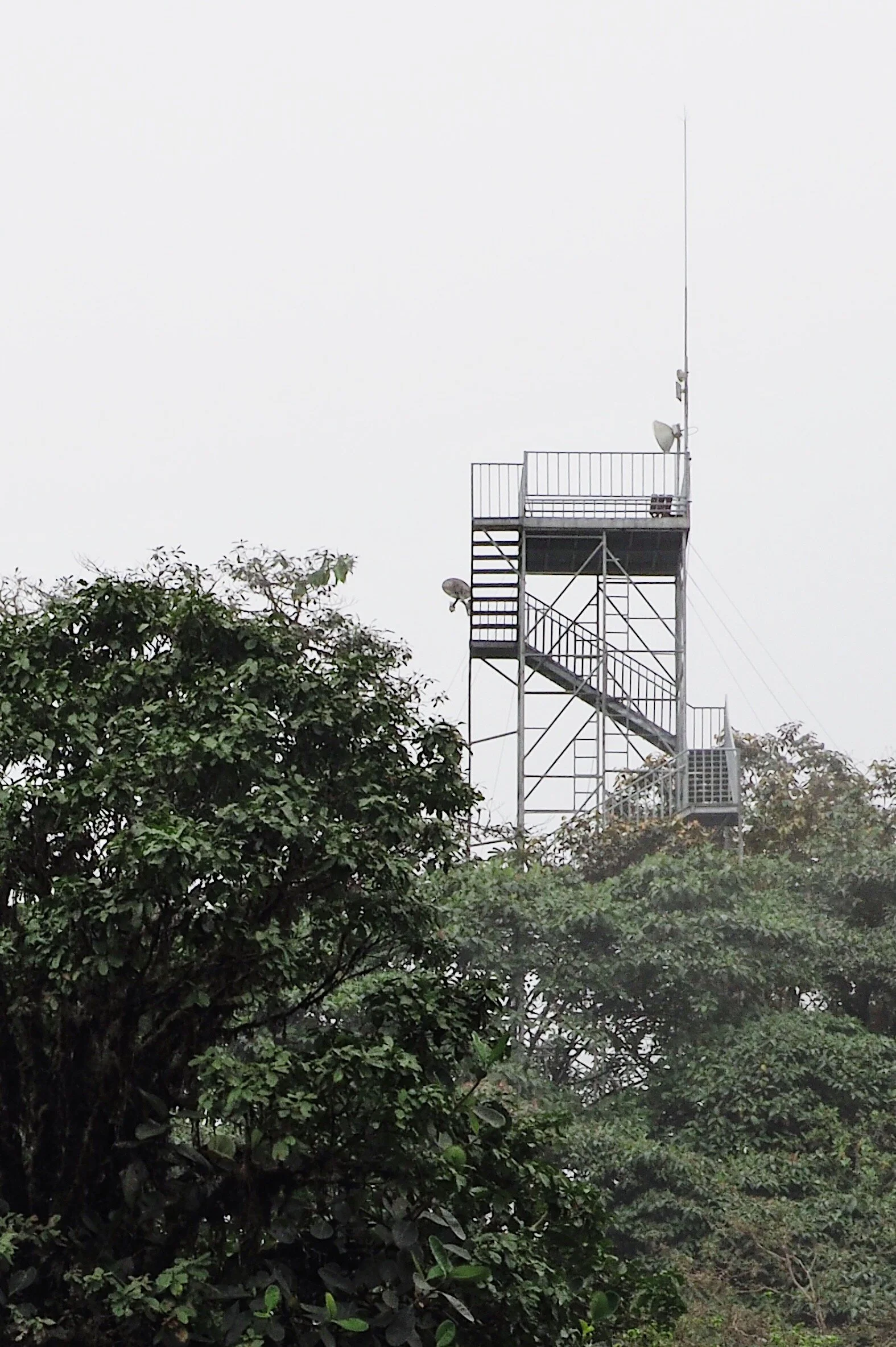  the Observation Tower, viewing platform above the treetops 