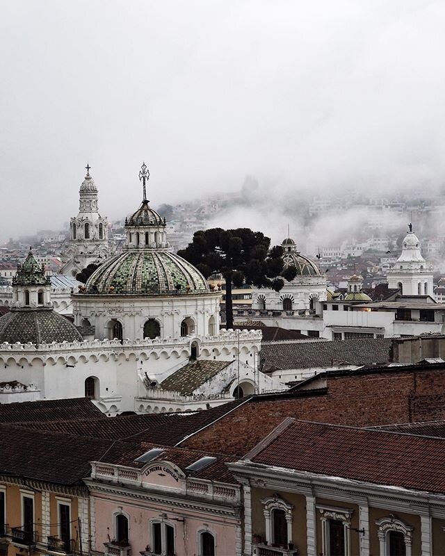 Ecuador | Gal&aacute;pagos, Quito, Mashpi
_
Archipelago of evolution, colonial city at high altitude and magic in the cloud forest... all three parts of last year&rsquo;s trip to Ecuador now in words and photo essays on the blog (link in bio).
_
Whil
