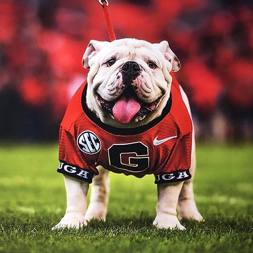 It&rsquo;s FINALLY time for FOOTBALL!! 🏈 Join us @ 3:30 we&rsquo;ll be playing the GEORGIA Game inside and out with SOUND!