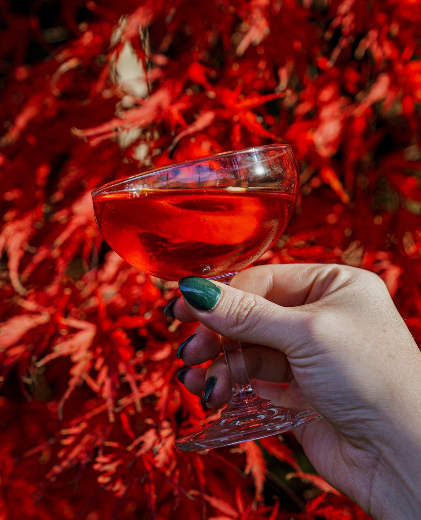 TGIF! Celebrate the end of the work week with an unexpected twist&mdash;a Negroni at The Albert. Stop by today and raise a glass to the weekend! 🍹 #FridayFeeling #Cheers