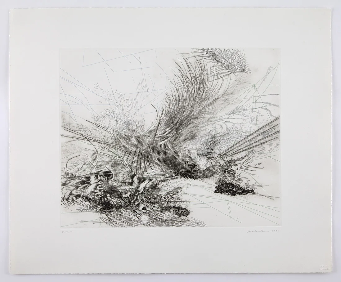 mehretu4.jpg