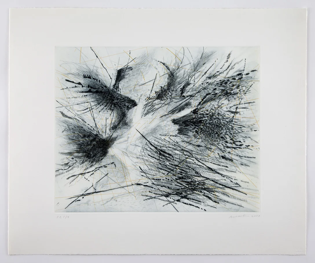 mehretu6.jpg