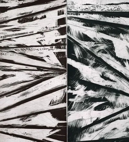 Koen Delaere Printing at Burnet Editions