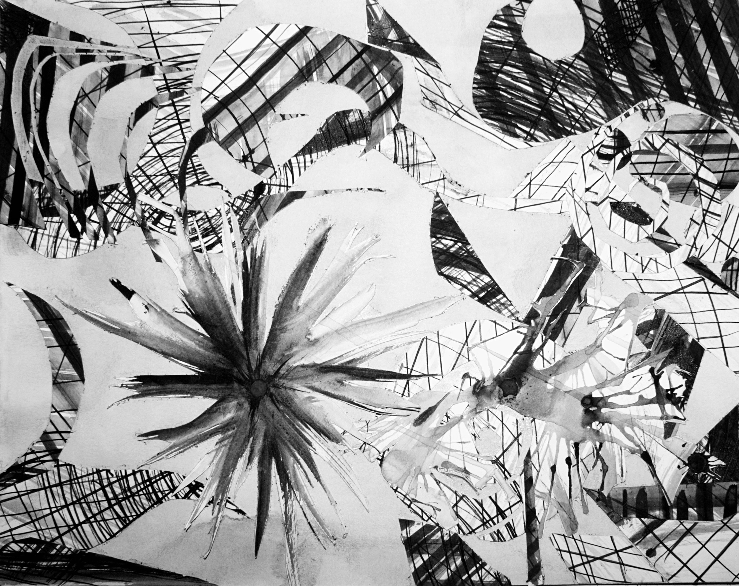 collage2.jpg