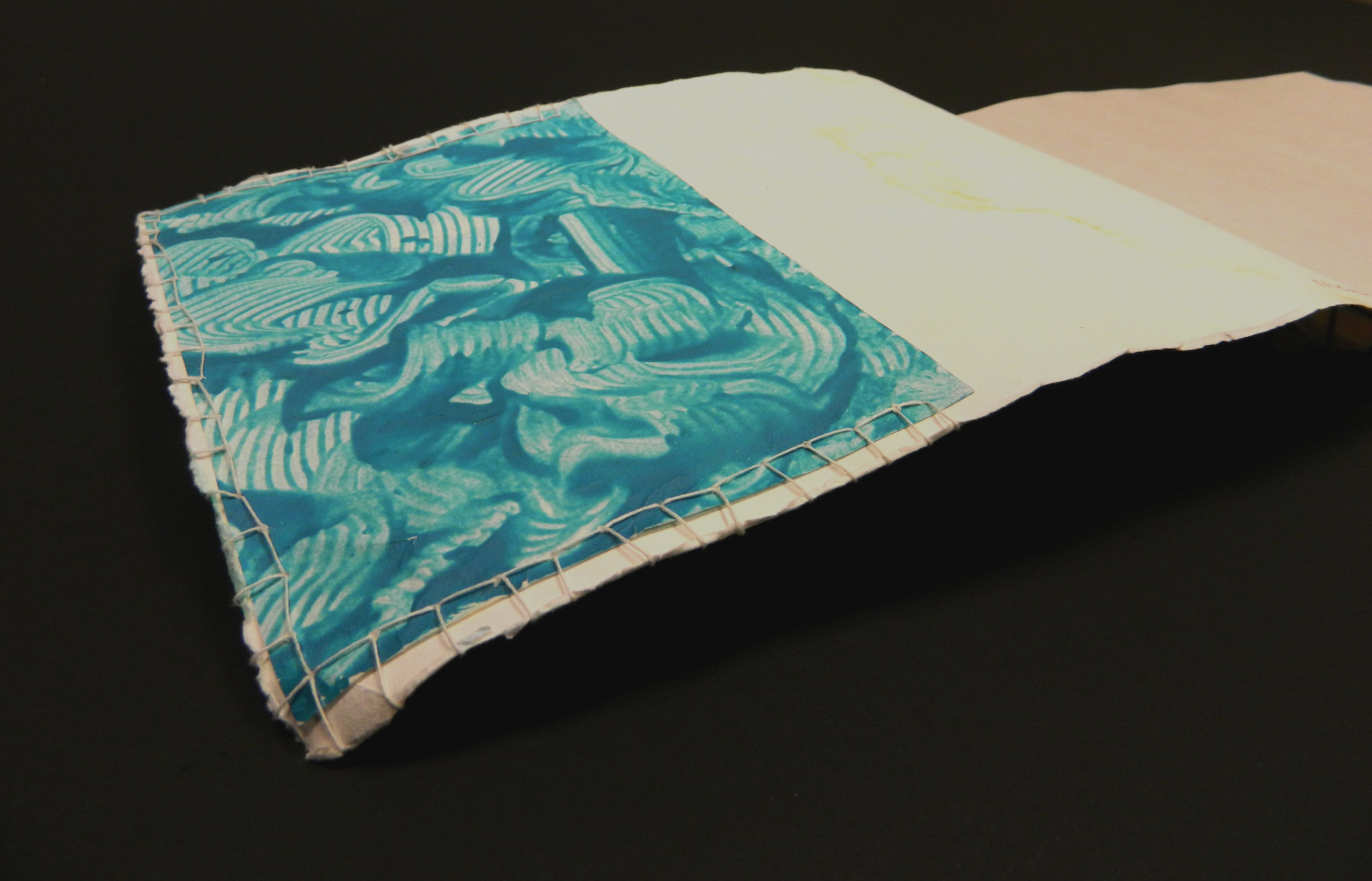 long inside cover.jpg