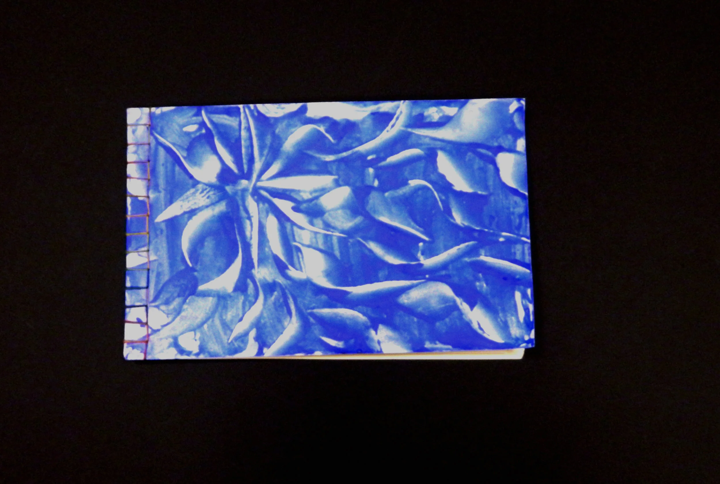 best blue front flat.jpg