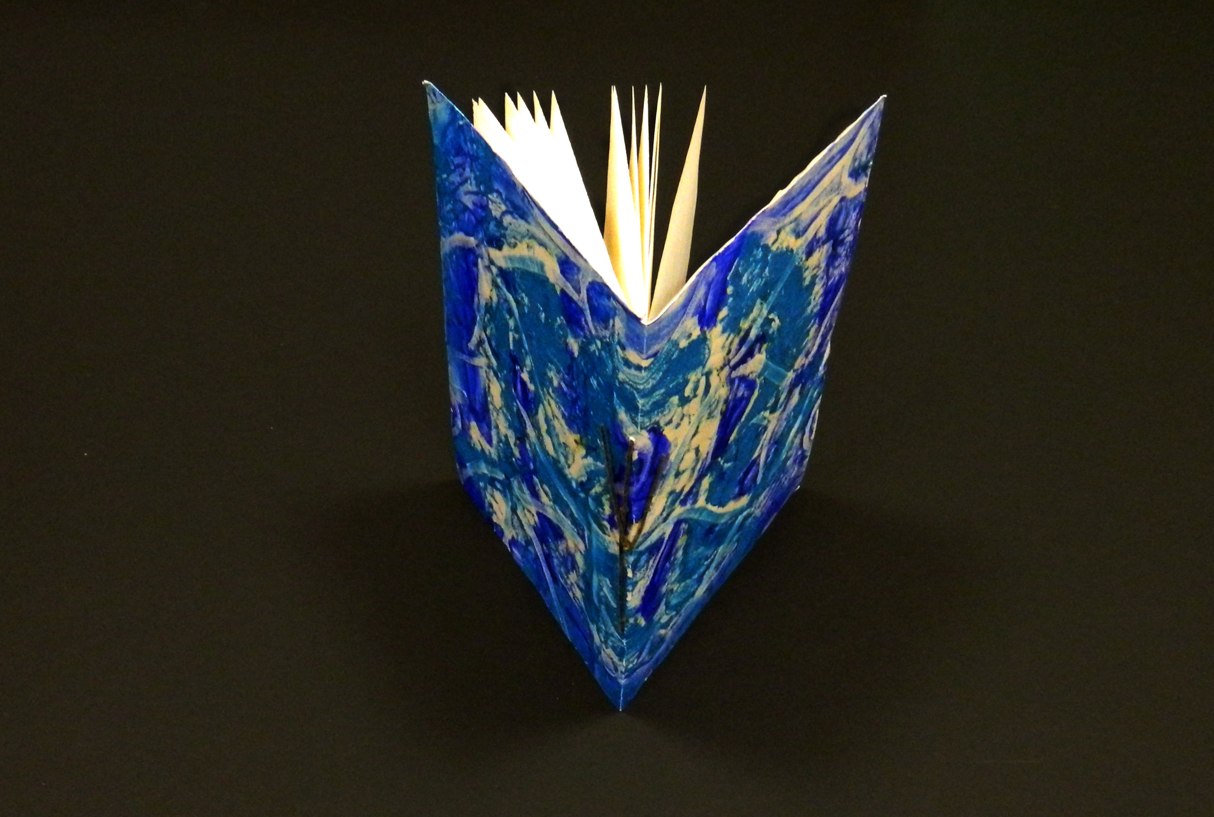 Blue small book.jpg