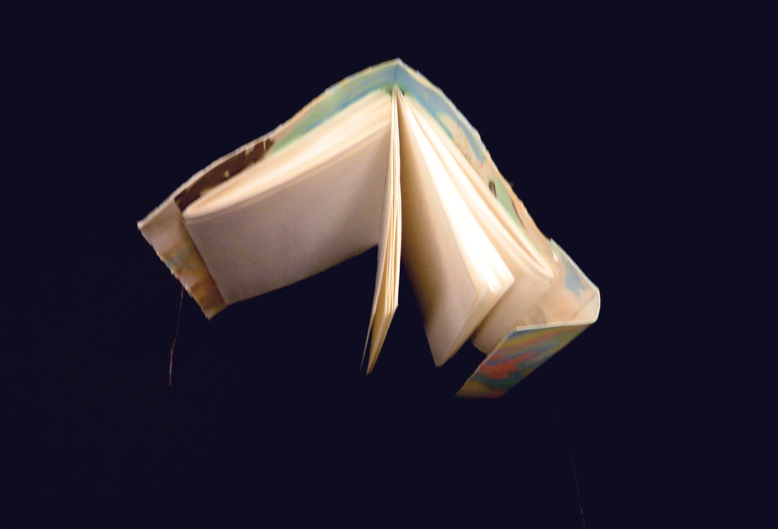 trifold.jpg