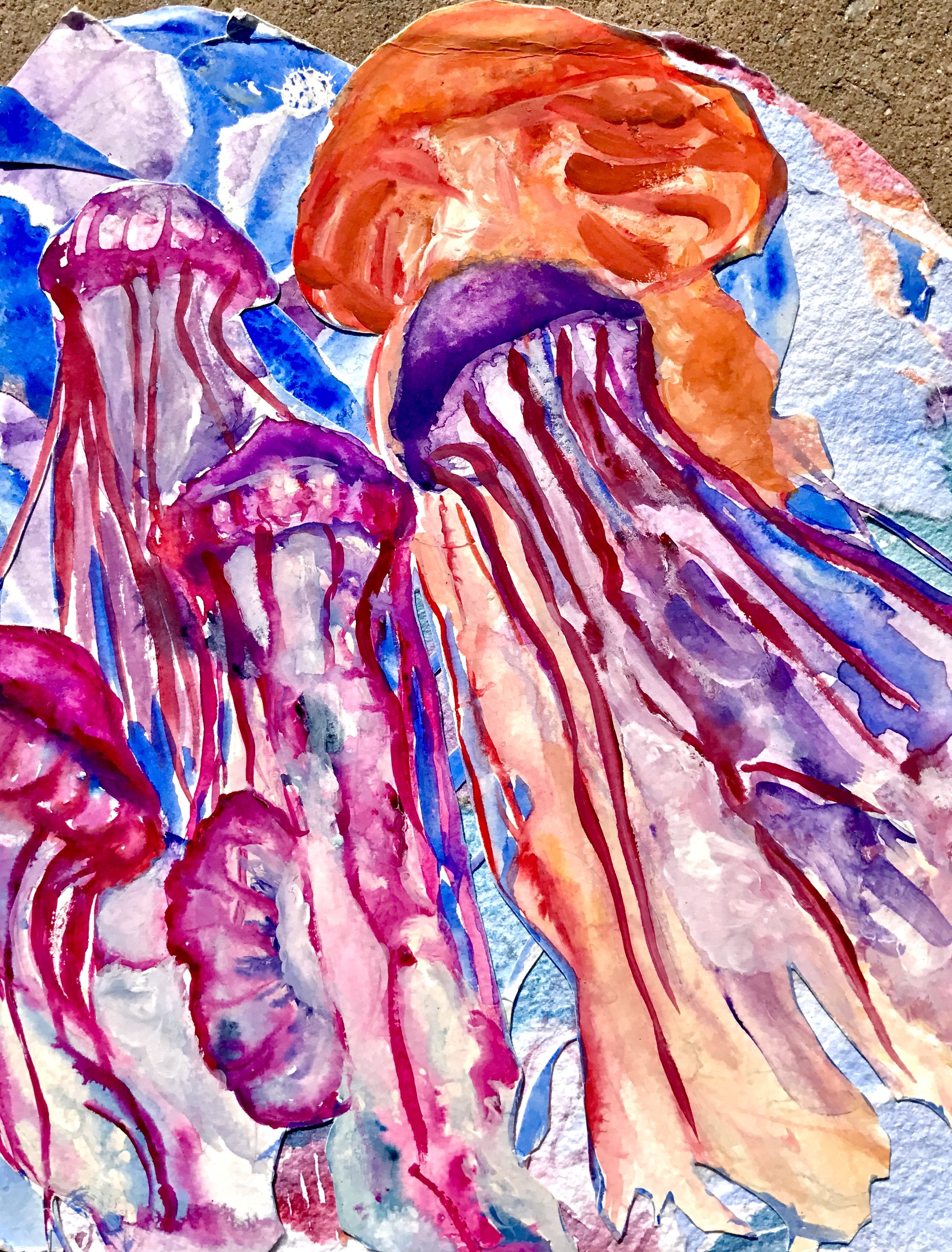 jellyfish.jpg