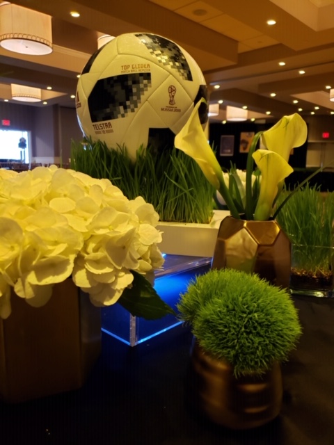 image8.jpeg